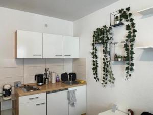 a kitchen with white cabinets and plants on the wall at Gemütliches Apartment Nähe Bahnhof in Trier +7 photos