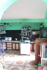 Shreenagar Homestay في Tānsen: مطبخ بجدران خضراء وقمة كونتر