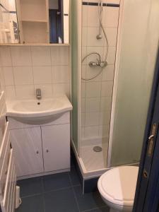 a bathroom with a shower and a sink and a toilet at triplex, centre-ville, terrasse in Nogent-sur-Marne