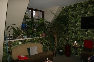Televízia a/alebo spoločenská miestnosť v ubytovaní Hostel Universus