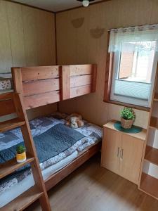1 Schlafzimmer mit 2 Etagenbetten und einem Hund auf dem Bett in der Unterkunft Domki WIKA 2 in Ustka
