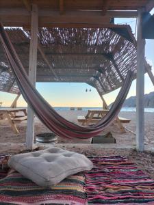 Fotografie z fotogalerie ubytování Sea sound Camp v destinaci Nuweiba‘ el Muzeinah