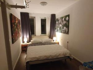 sypialnia z łóżkiem, 2 lampami i oknem w obiekcie Nagtegaal 2 w mieście Veen