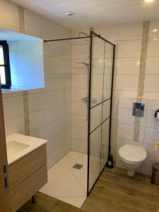 a bathroom with a glass shower and a toilet at Maison de la Ferme in Lézardrieux +104 photos