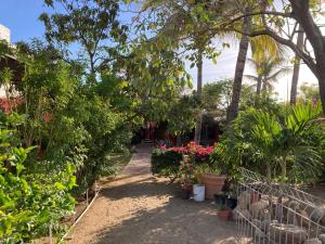 ogród z drzewami, roślinami i kwiatami w obiekcie Habitación Privada Los Cabos w mieście Cabo San Lucas