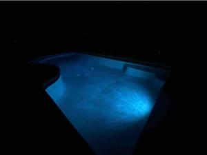 Spacious Home - Heated LED Pool & Ping Pong内部或周边的泳池
