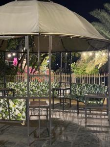 a group of benches under a tent with bananas at Sara Farm in Abu Dhabi