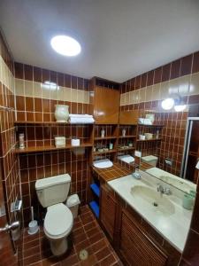 阿雷基帕Condo located just 4 blocks from the main square的带马桶和水槽的浴室