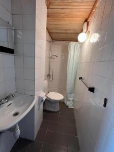 een badkamer met een wastafel en een toilet bij Galata's Bridge Boutique Hotel in Galata