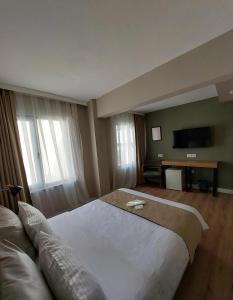 Habitación de hotel con cama grande y TV en Balta Hotel, en Edirne