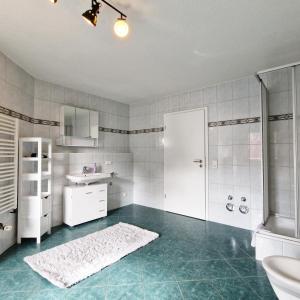 W łazience znajduje się prysznic, umywalka i toaleta. w obiekcie DM Hotes & Apartments - Apartment Dosborn 2A w mieście Dingelstädt