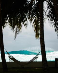 a hammock on the beach between two palm trees at Villa Onu Mentawai - Private Rooms in Katiet