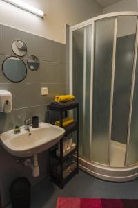 a bathroom with a sink and a shower at Barona spilvens in Kazdanga