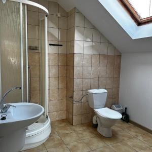 uma casa de banho com um WC, um lavatório e um chuveiro em Pokoje Gościnne Nad Morzem em Leba