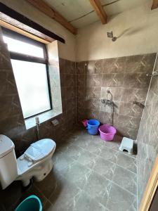 a bathroom with a toilet and a shower at Mystic Pangong in Spangmik