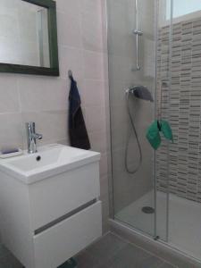 uma casa de banho com um chuveiro, um lavatório e um chuveiro em F1 centre-ville refait à neuf em Roquebillière