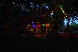Ogród w obiekcie Akash Treehouse