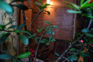 Ogród w obiekcie Akash Treehouse