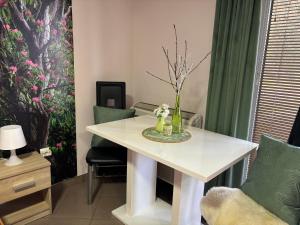 Apartmani "MARIJA" Golubac的休息区