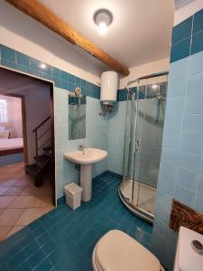 a bathroom with a toilet and a sink and a shower at Apartment Da Pupetta in Sori