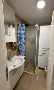 ein Bad mit einem Waschbecken und einer Dusche in der Unterkunft Forest View Apartment in Mavrovo-Nationalpark