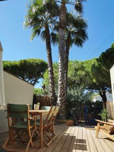 patio z palmami oraz stołem i krzesłami w obiekcie La Capte, A 2min de la mer, Terrasse-Wifi-Parking gratuit w Hyères