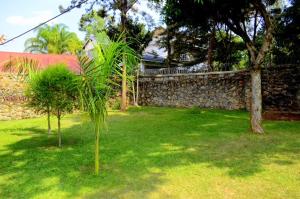 zwei Bäume in einem Hof neben einer Steinmauer in der Unterkunft Yuks Villa in Kisumu