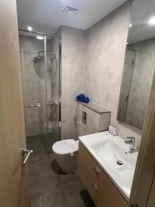 a bathroom with a shower and a toilet and a sink at Apartmán Fiora, 2kk,Dubaj in ‘Ūd al Bayḑāʼ