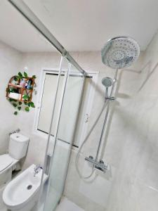 a bathroom with a shower and a toilet and a sink at Guests House River in Málaga