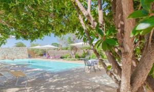 a pool with chairs and umbrellas next to a tree at Hotel Garden Salento in Torre Vado