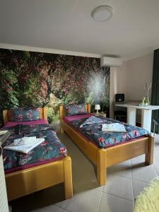 Postel nebo postele na pokoji v ubytování Apartmani "MARIJA" Golubac