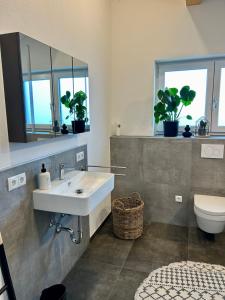 a bathroom with a sink and a toilet and windows at Allgäu Zimmer LeAndi in Memmingen