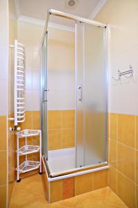 a shower with a glass door in a bathroom at Apartamenty i Pokoje Gościnne nad Soliną Drozdówka in Solina