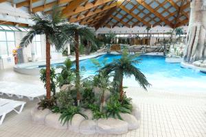 una piscina con palmeras en un edificio en Camp Terme Čatež en Čatež ob Savi