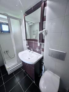 a bathroom with a sink and a toilet and a mirror at Dardanos Pension in Hamidiye