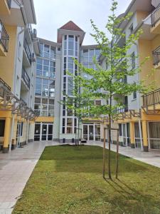 un árbol en el patio de un edificio de apartamentos en Dorka Apartman Zalakaros, en Zalakaros