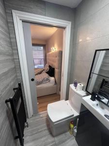 a bathroom with a toilet and a sink and a mirror at Stunning 3 bedroom house sleeps up to 6 in Norwood