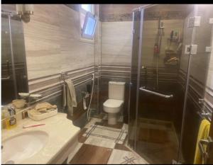 Un baño con inodoro, lavabo y ducha. en Cozy room, en El Cairo 23 fotos más