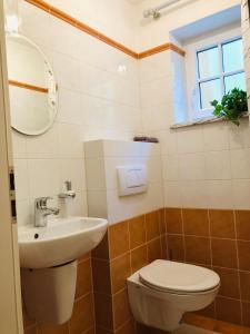 ein Badezimmer mit einem WC, einem Waschbecken und einem Spiegel in der Unterkunft Ferienwohnung Leitnhax in Berchtesgaden