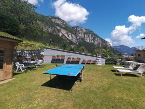 a ping pong table in the grass with a mountain at Apartments Giovannini in Fai della Paganella