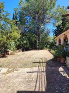 a tree with a ladder in the middle of a driveway at Casetta in campagna di Marilou (Iun R5361) in Maracalagonis +15 photos