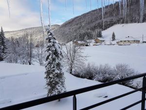 een balkon met uitzicht op de winter en sneeuw op de grond bij Dvacances Résidence les tavaillons in Mijoux