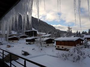 ein schneebedecktes Dorf mit Eiszapfen in der Unterkunft Dvacances Résidence les tavaillons in Mijoux