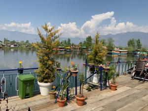 Ein Haufen Topfpflanzen auf einem Dock neben einem See. in der Unterkunft Movie land group of house boats in Srinagar