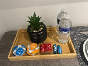 a tray with a bottle of water and a potted plant at HOMESTAY HAVEN in Leicester