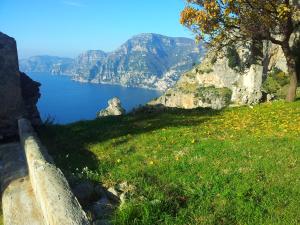 アジェーロラにあるRADICIのギャラリーの写真