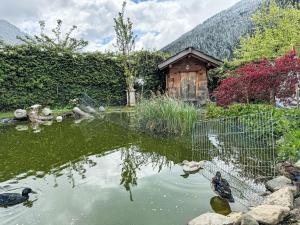 Príroda v okolí apartmánu