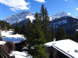 a view of snow covered mountains from a house at Apartment Les Arsets 301-11 by Interhome in Arveyes