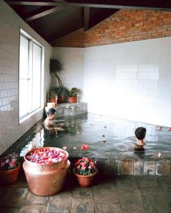 Fotografie z fotogalerie ubytování Hokke Lumbini v destinaci Rummindei