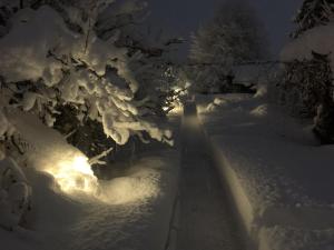 ツヴァイジンメンにあるApartment Obegghuus by Interhomeの雪に覆われた木の夜の通り